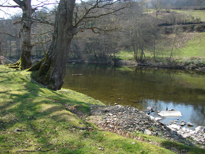 Wye spring scenic